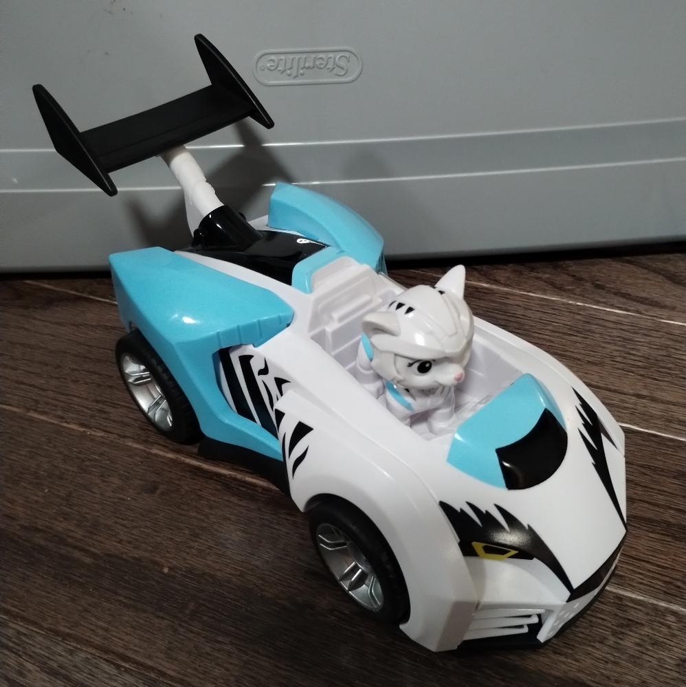 Paw Patrol Cat